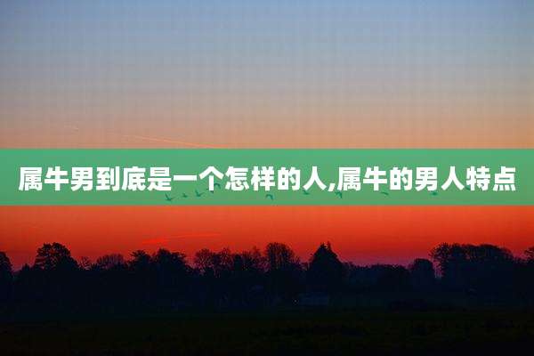 属牛男到底是一个怎样的人,属牛的男人特点
