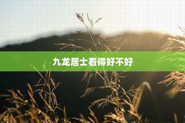 九龙居士看得好不好