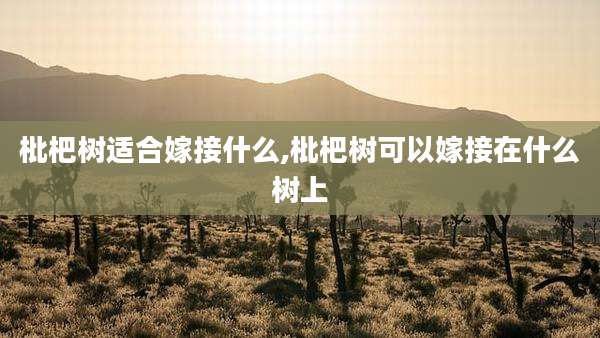 枇杷树适合嫁接什么,枇杷树可以嫁接在什么树上
