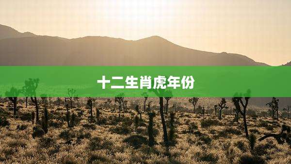 十二生肖虎年份