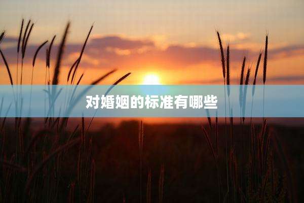 对婚姻的标准有哪些