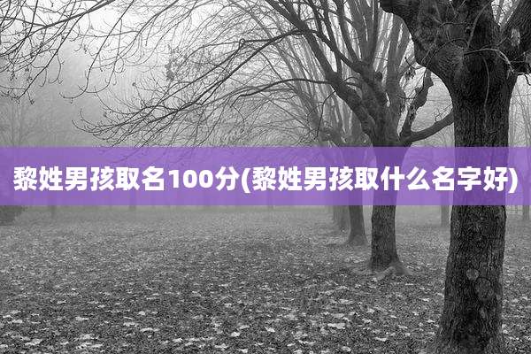 黎姓男孩取名100分(黎姓男孩取什么名字好)