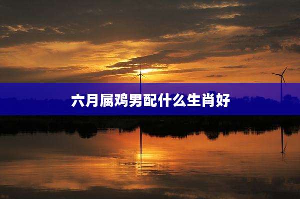六月属鸡男配什么生肖好