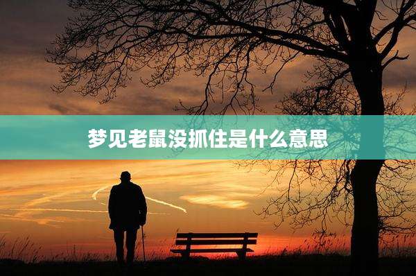 梦见老鼠没抓住是什么意思