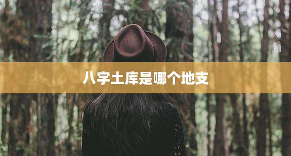 八字土库是哪个地支