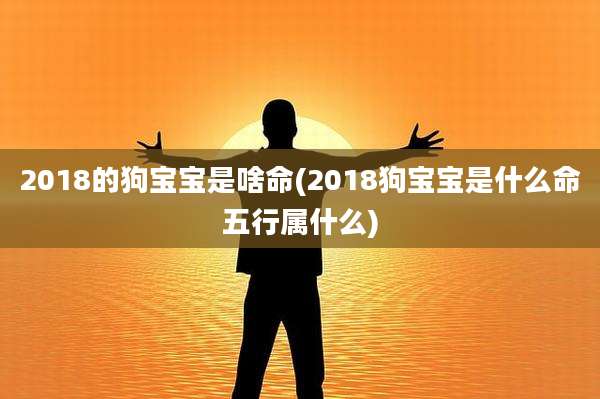 2018的狗宝宝是啥命(2018狗宝宝是什么命五行属什么)