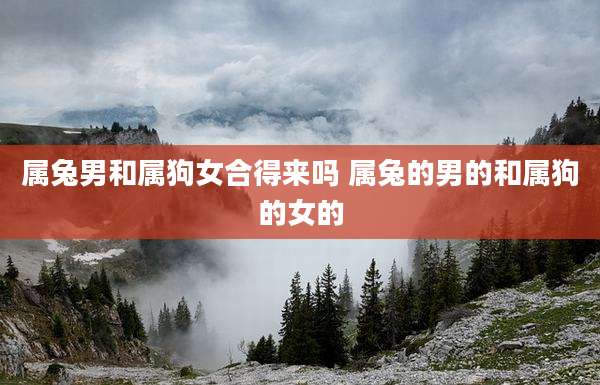 属兔男和属狗女合得来吗 属兔的男的和属狗的女的