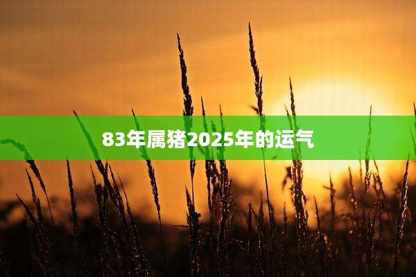 83年属猪2025年的运气