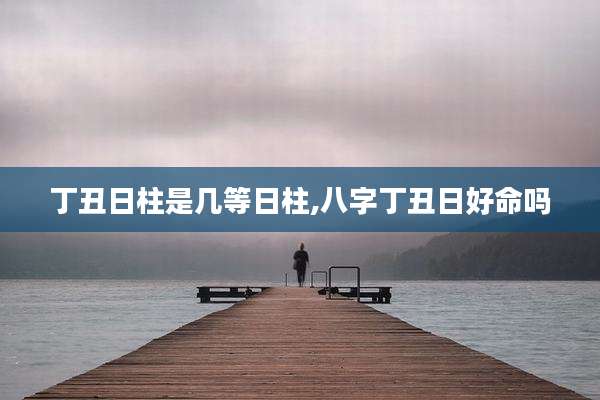 丁丑日柱是几等日柱,八字丁丑日好命吗