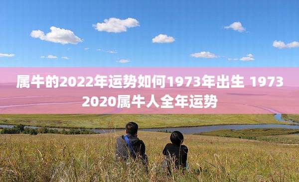 属牛的2022年运势如何1973年出生 19732020属牛人全年运势