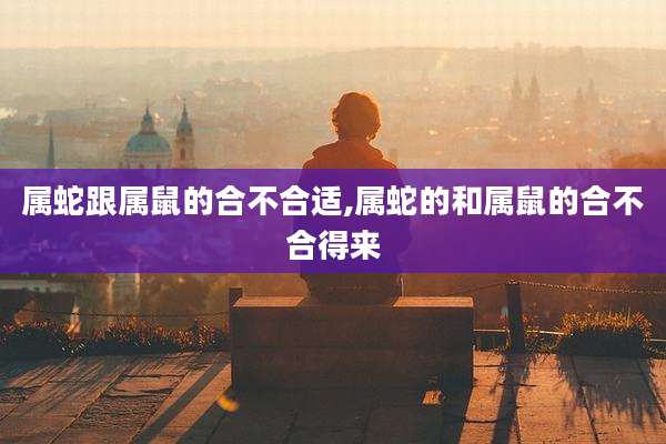 属蛇跟属鼠的合不合适,属蛇的和属鼠的合不合得来