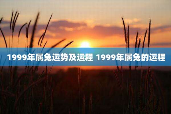 1999年属兔运势及运程 1999年属兔的运程
