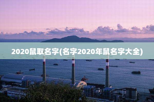 2020鼠取名字(名字2020年鼠名字大全)