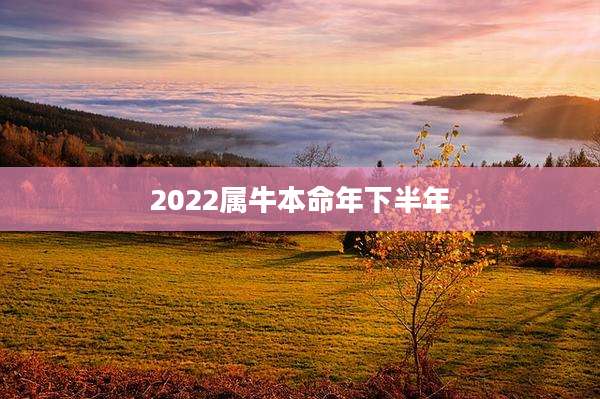 2022属牛本命年下半年
