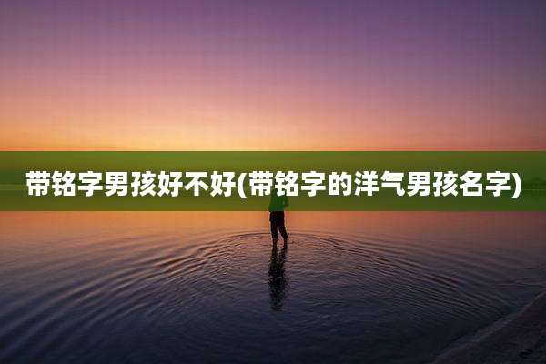 带铭字男孩好不好(带铭字的洋气男孩名字)
