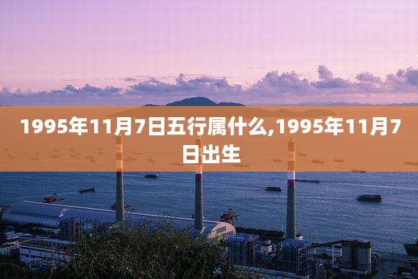 1995年11月7日五行属什么,1995年11月7日出生