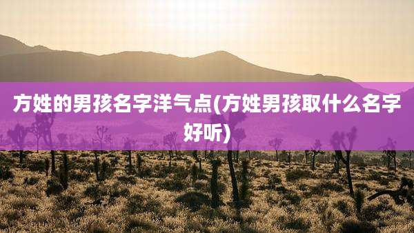 方姓的男孩名字洋气点(方姓男孩取什么名字好听)
