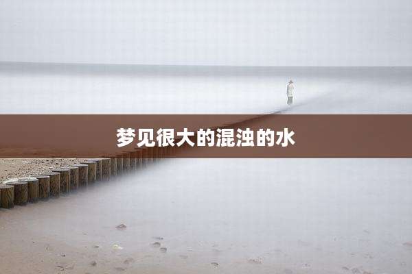 梦见很大的混浊的水