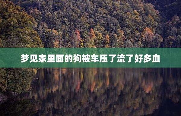 梦见家里面的狗被车压了流了好多血
