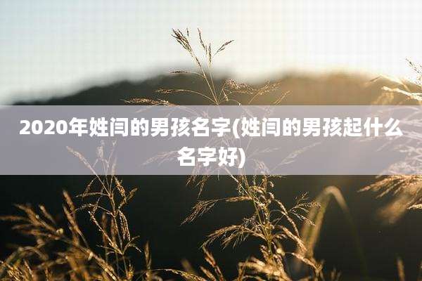 2020年姓闫的男孩名字(姓闫的男孩起什么名字好)