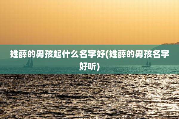 姓薛的男孩起什么名字好(姓薛的男孩名字好听)