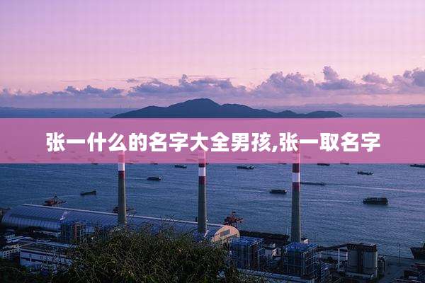 张一什么的名字大全男孩,张一取名字