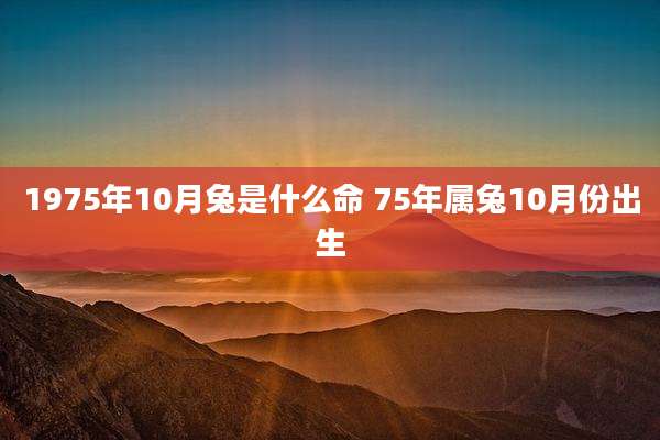 1975年10月兔是什么命 75年属兔10月份出生