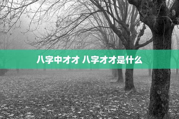 八字中才才 八字才才是什么