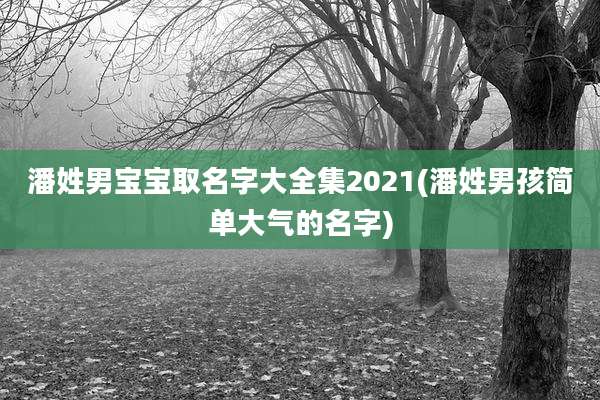 潘姓男宝宝取名字大全集2021(潘姓男孩简单大气的名字)