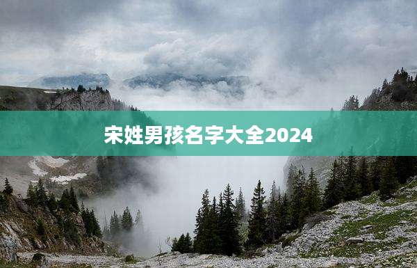 宋姓男孩名字大全2024