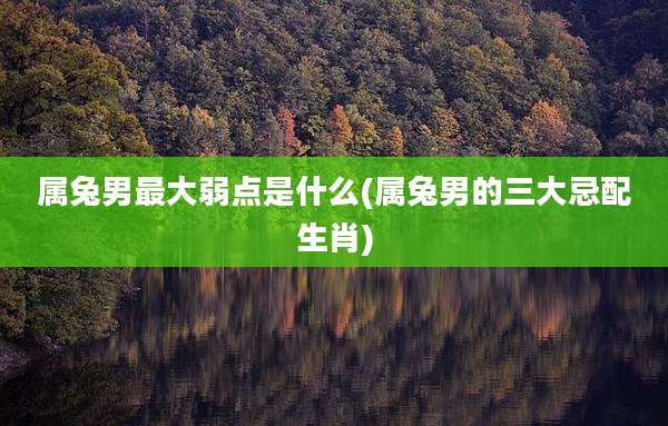 属兔男最大弱点是什么(属兔男的三大忌配生肖)