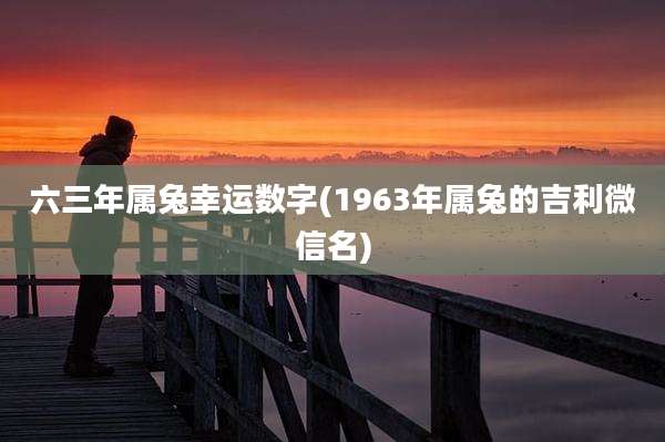 六三年属兔幸运数字(1963年属兔的吉利微信名)