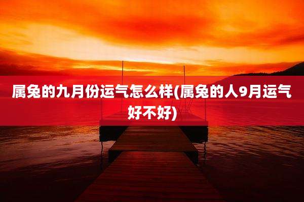属兔的九月份运气怎么样(属兔的人9月运气好不好)