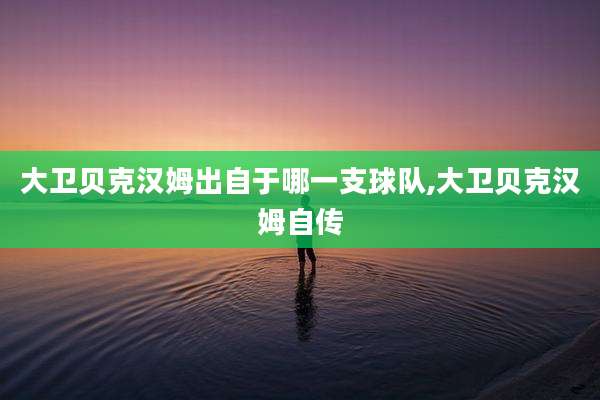 大卫贝克汉姆出自于哪一支球队,大卫贝克汉姆自传