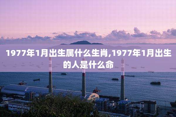 1977年1月出生属什么生肖,1977年1月出生的人是什么命
