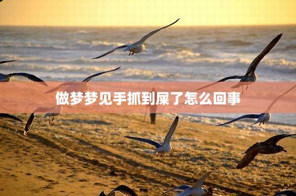 做梦梦见手抓到屎了怎么回事