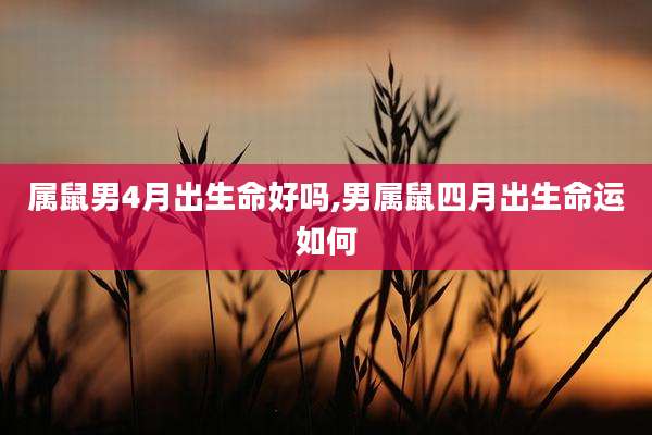 属鼠男4月出生命好吗,男属鼠四月出生命运如何