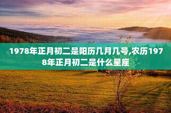 1978年正月初二是阳历几月几号,农历1978年正月初二是什么星座