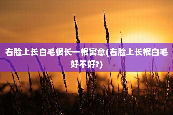 右脸上长白毛很长一根寓意(右脸上长根白毛好不好?)