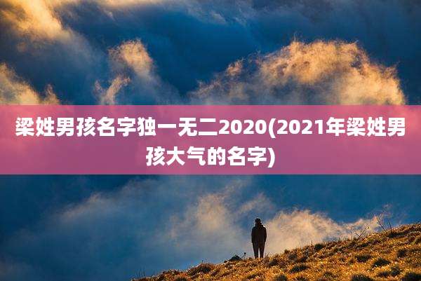 梁姓男孩名字独一无二2020(2021年梁姓男孩大气的名字)