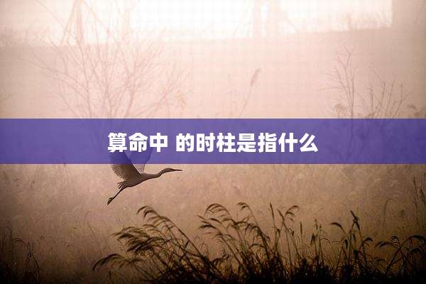 算命中 的时柱是指什么