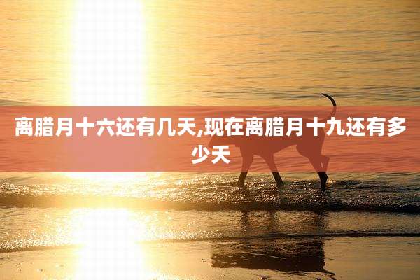 离腊月十六还有几天,现在离腊月十九还有多少天