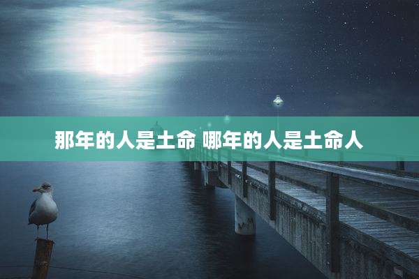 那年的人是土命 哪年的人是土命人