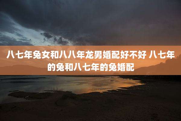 八七年兔女和八八年龙男婚配好不好 八七年的兔和八七年的兔婚配
