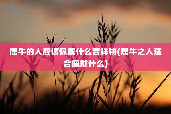 属牛的人应该佩戴什么吉祥物(属牛之人适合佩戴什么)