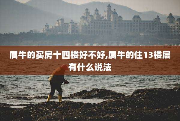 属牛的买房十四楼好不好,属牛的住13楼层有什么说法