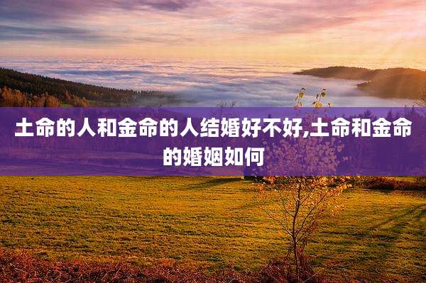 土命的人和金命的人结婚好不好,土命和金命的婚姻如何