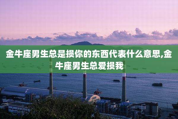 金牛座男生总是损你的东西代表什么意思,金牛座男生总爱损我