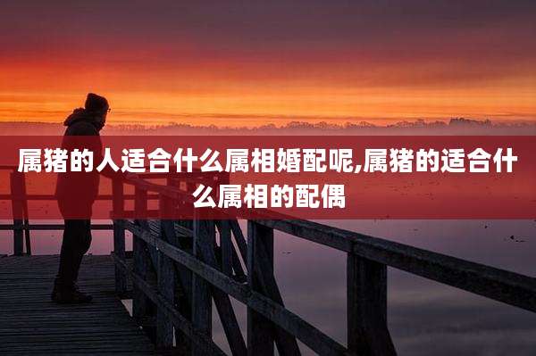 属猪的人适合什么属相婚配呢,属猪的适合什么属相的配偶