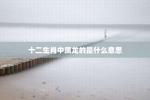 十二生肖中属龙的是什么意思